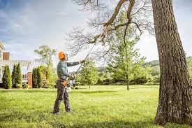 Best Hedge Trimming  in Brenham, TX